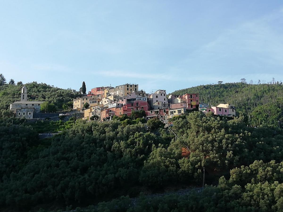 Casa Lorenzo Sulle Colline Di Levanto E Vicino Alle Cinqueterre Lt-0620 מראה חיצוני תמונה